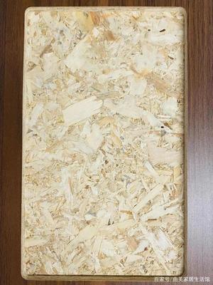 專家解讀，大咖坐鎮！曲美家居首發零甲醛添加原木結構板，加拿大OSB板革新家居環保標準