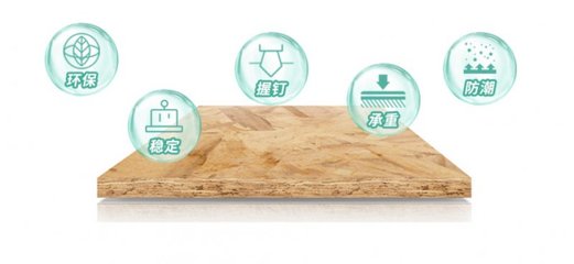 25道嚴苛工序，鑄就兔寶寶OSB板五項全能