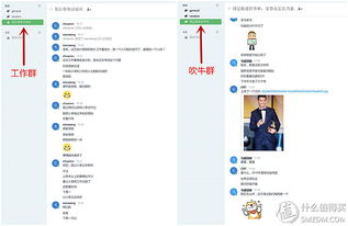 原創(chuàng)新人省小錢(qián)辦大事 群暉DS216 II網(wǎng)絡(luò)存儲(chǔ)NAS服務(wù)器搭建數(shù)據(jù)中心靠譜嗎？