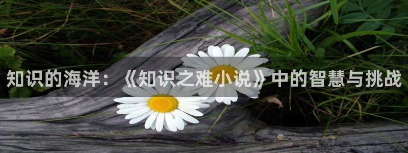 楚留香同人小說